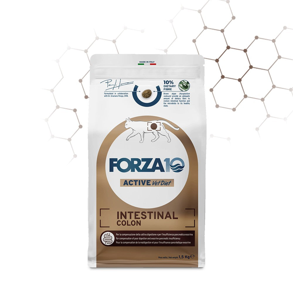 Forza 10 active