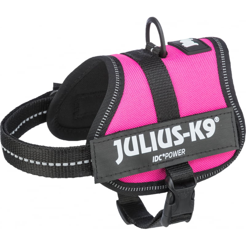 Julius k9 fucsia