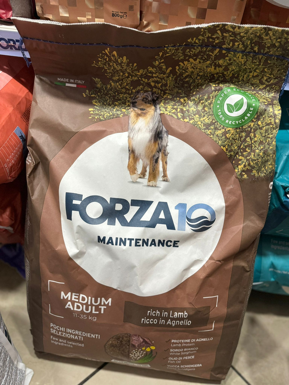 Forza10 Maintenance Medium Adult all'Agnello con Riso Crocchette cane