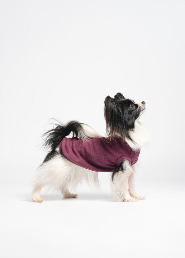 Pullover in cotone