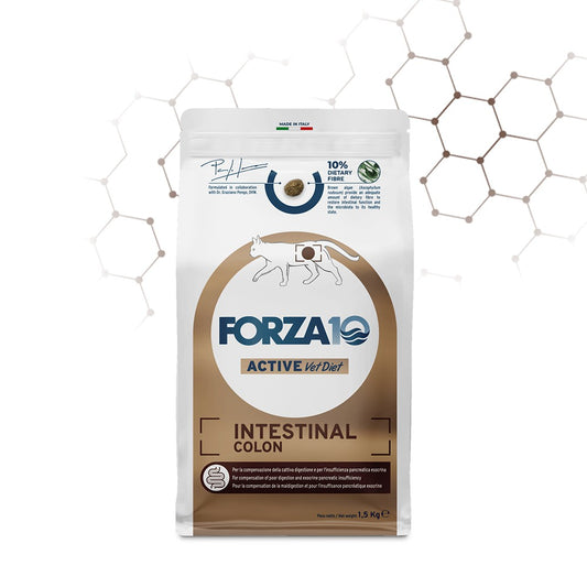 Forza 10 active